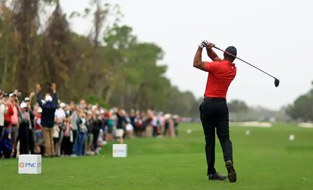 tiger-woods-taking-a-shot
