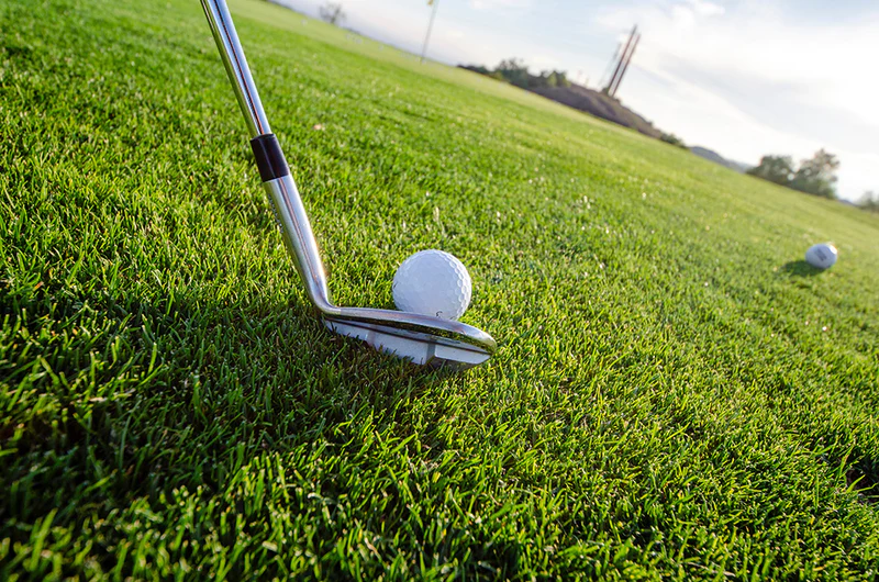 wedge-beside-a-golf-ball