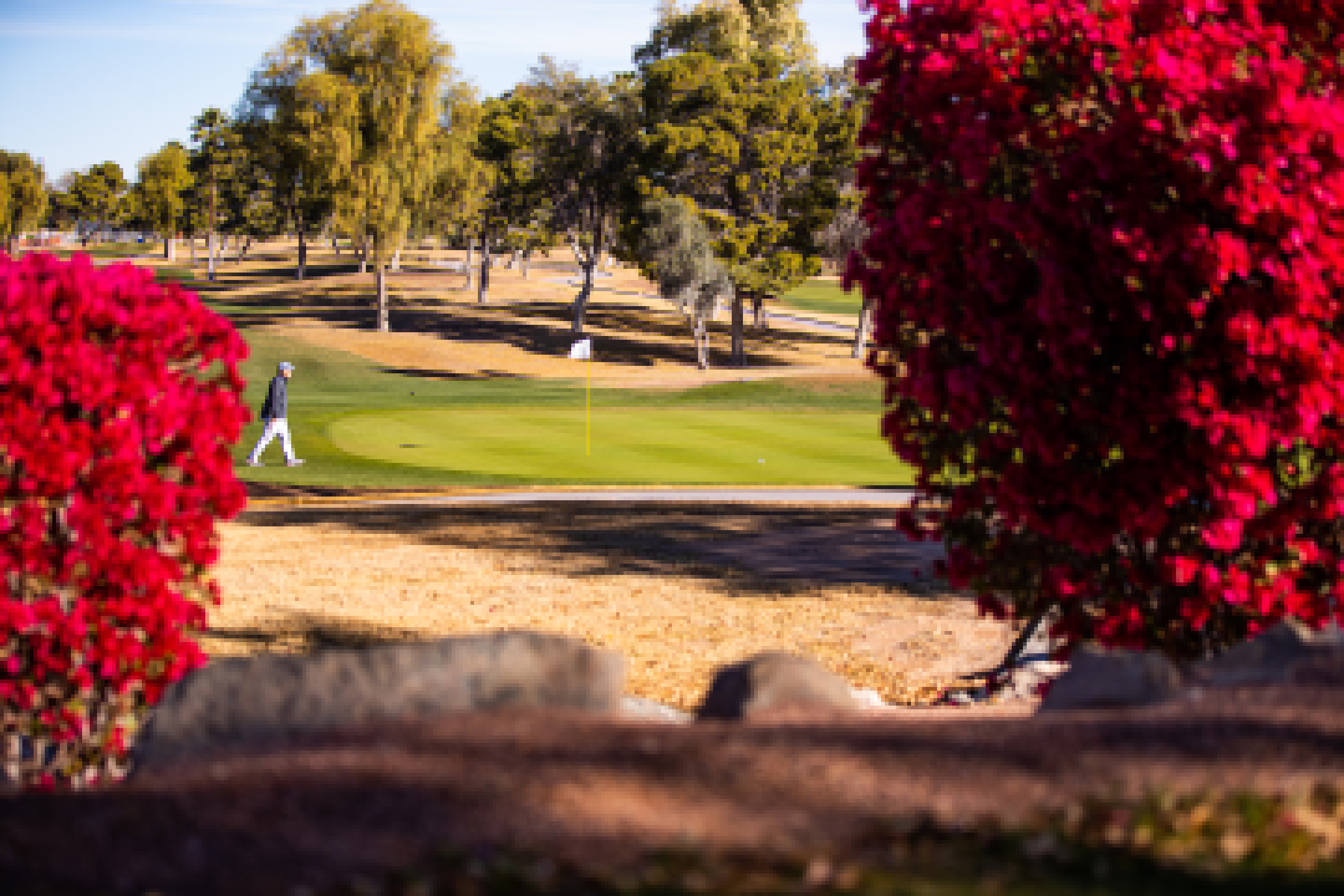 Ken McDonald Golf Course golf course