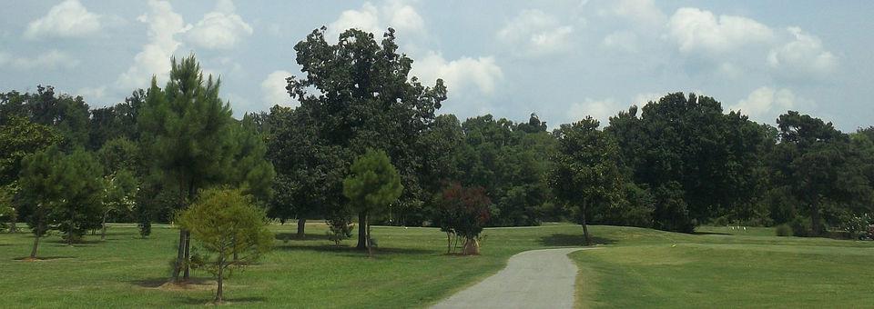 Links At Tuscaloosa golf course