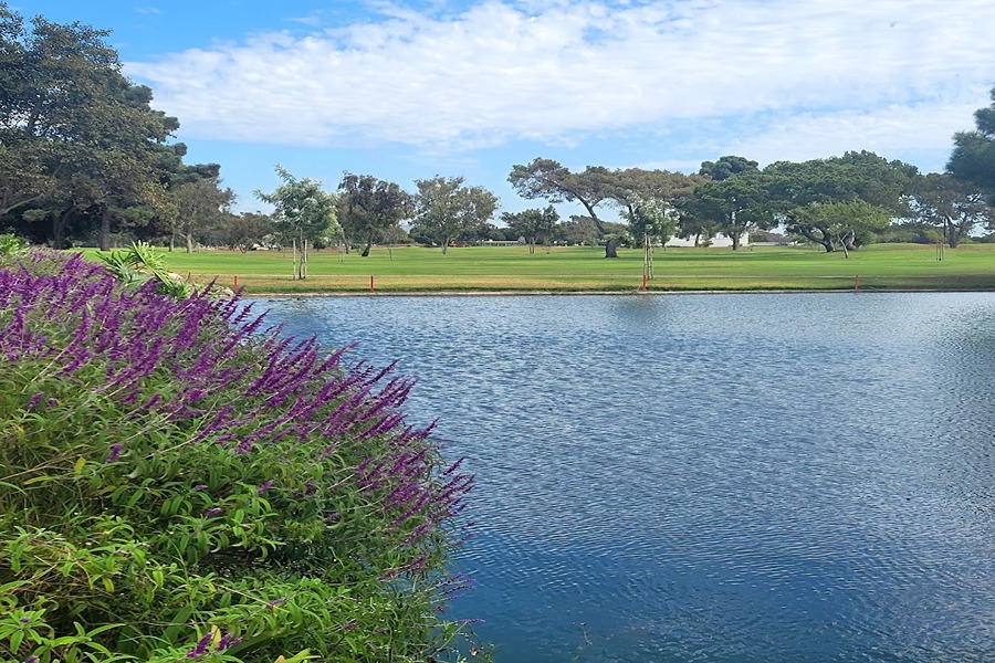 Los Lagos - Costa Mesa Golf & Country Club golf course