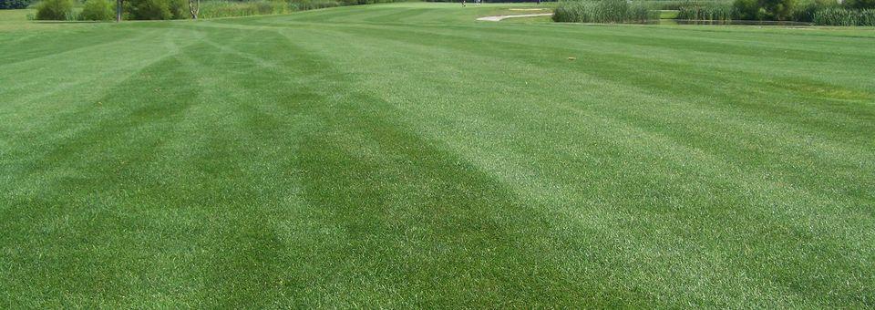 Moweaqua Golf Course golf course