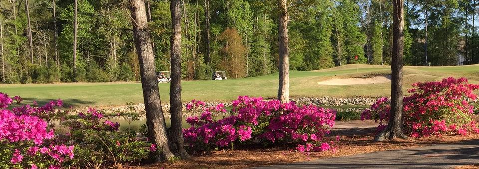 Otter - River Oaks Golf Plantation golf course