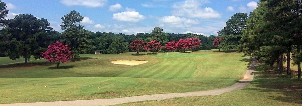 Public - Raleigh Golf Association golf course
