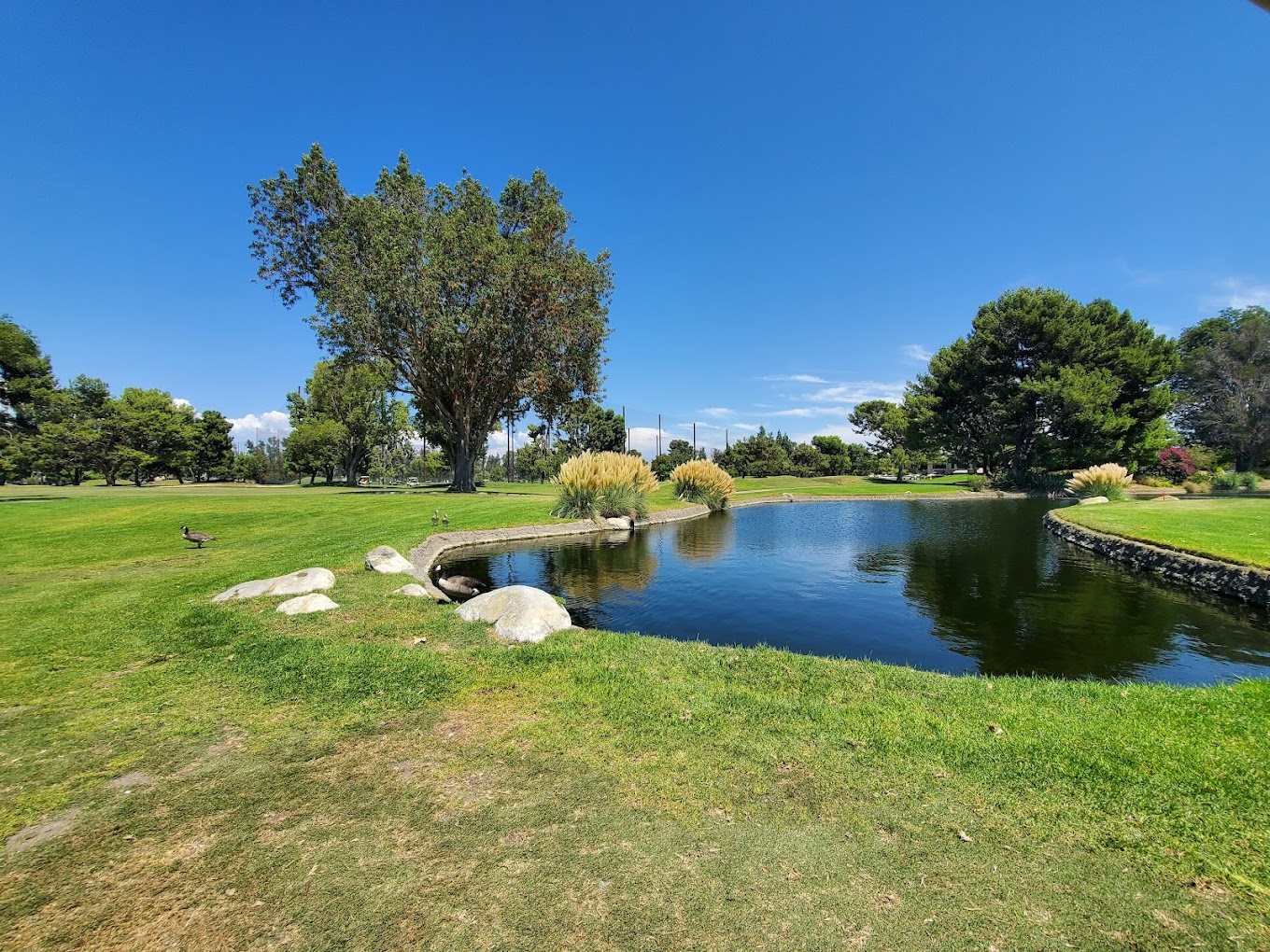 Rio Hondo Golf Club golf course