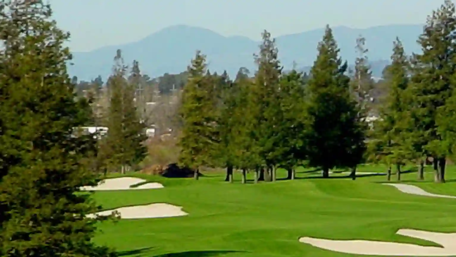 South - Foxtail Golf Club golf course