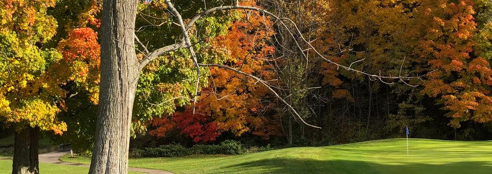 Village Green Golf Course golf course